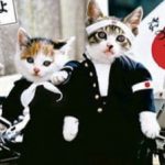 ヒーロー さんのプロフィール写真