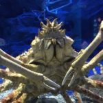 @TbEix さんのプロフィール写真