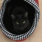 @iShunes_ さんのプロフィール写真