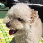 ラル男 さんのプロフィール写真