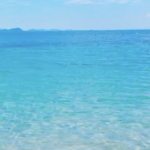 ocean1214 さんのプロフィール写真