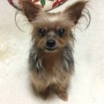 あきら さんのプロフィール写真