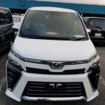 きっしー さんのプロフィール写真