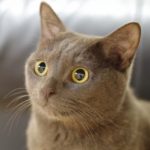 Ja,Zoo さんのプロフィール写真