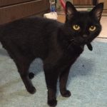 トウジ さんのプロフィール写真