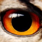 deadhead さんのプロフィール写真