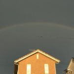 @細谷 さんのプロフィール写真