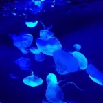 aotan0413 さんのプロフィール写真