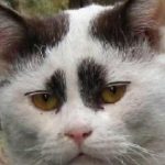 樋口秀樹 さんのプロフィール写真