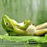 譲 さんのプロフィール写真