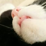 ヒソカ さんのプロフィール写真