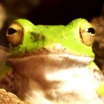 t shinozaki さんのプロフィール写真