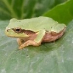 kero さんのプロフィール写真