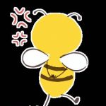 とももん さんのプロフィール写真