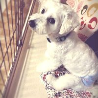 rakuda さんのプロフィール写真