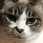 @333mMarch さんのプロフィール写真