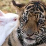 Rabi04 さんのプロフィール写真