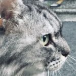 ちゃこらい さんのプロフィール写真