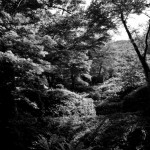 ada さんのプロフィール写真