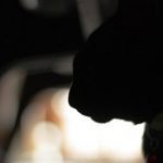 SINYA5902 さんのプロフィール写真