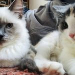 エニドナ さんのプロフィール写真