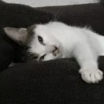 ケイコ さんのプロフィール写真