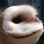 ANTHEM さんのプロフィール写真