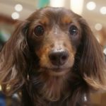 Kutaro さんのプロフィール写真