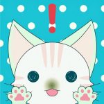 おりん さんのプロフィール写真