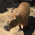 かっちん さんのプロフィール写真