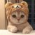 yoshi さんのプロフィール写真