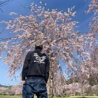 田中 克幸 さんのプロフィール写真