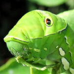 六徳 さんのプロフィール写真