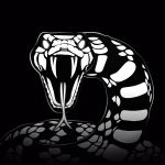 kazuma79 さんのプロフィール写真