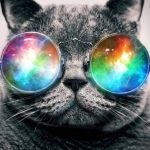deimer666 さんのプロフィール写真