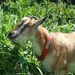 奥村公彦 さんのプロフィール写真