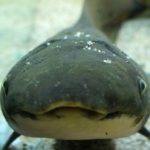 そらみみ さんのプロフィール写真