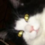 @0223_yoshi さんのプロフィール写真