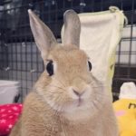 ダクト職人 さんのプロフィール写真