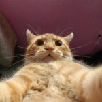 たたたた さんのプロフィール写真