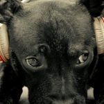 Nobuhiron さんのプロフィール写真