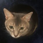 tomozett さんのプロフィール写真