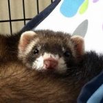 たろすけ さんのプロフィール写真