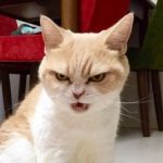 どる☆ さんのプロフィール写真